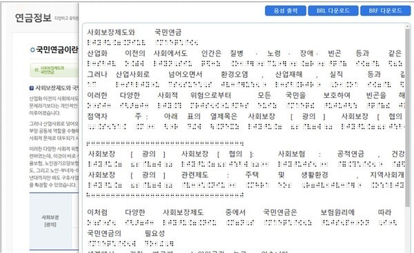 국민연금공단은 올해 1월부터 시각장애인들도 국민연금 정보를 쉽게 읽고 확인할 수 있도록 공단 홈페이지에서 전자점자 서비스를 제공하고 있다(기사와 무관). ⓒ국민연금공단  