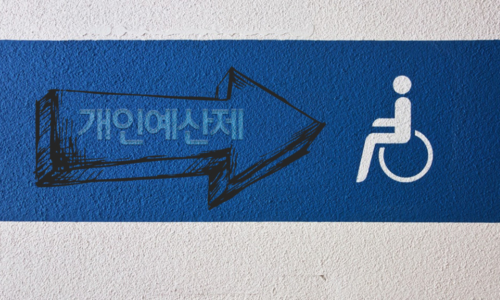▲윤석열 정부의 '복지 약자'에 따른 맞춤형 지원체계의 주요 정책인 개인예산제가 제6차 장애인정책종합계획에 반영되어 시행될 예정이다. 한편 보거사회연구원은 보건복지포럼 1월호 개인예산제에 대한 논의를 통해 쟁점 내용과 향후 과제를 내놨다. ⓒ 더인디고 편집