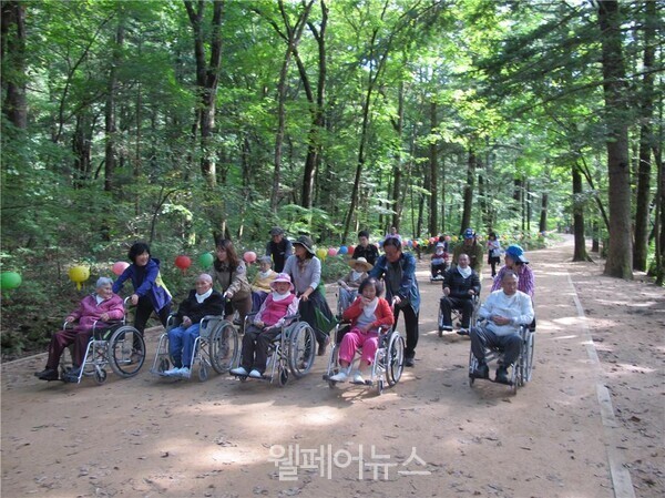 환경부 산하 국립공원공단은 지난 17일부터 장애인도 불편함 없이 즐길 수 있는 ‘국립공원 오감 맞춤 생태체험’ 과정을 시작했다. / 오대산 전나무숲길 무장애 탐방로. ⓒ국립공원공단 